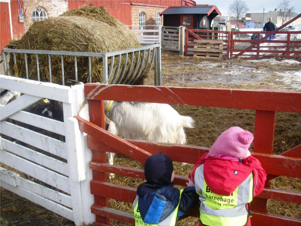 Barn på gårdsbesøk.