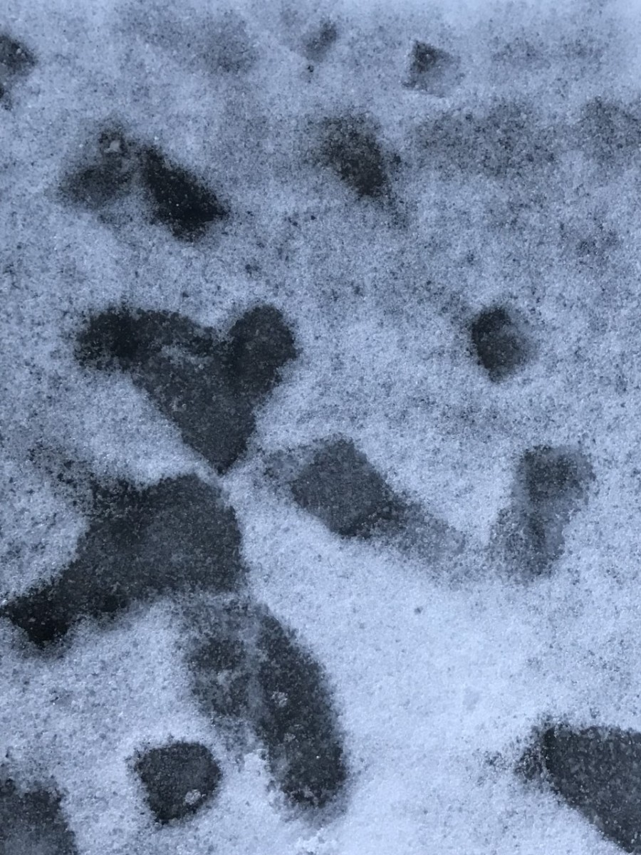 Fotspor i snø danner et hjerte