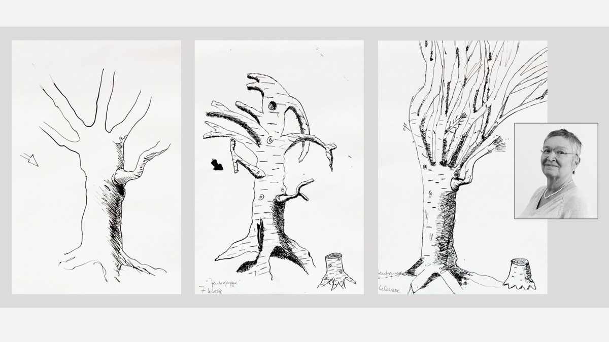 Tre tegninger av trær. Portrettfoto av voksen dame.