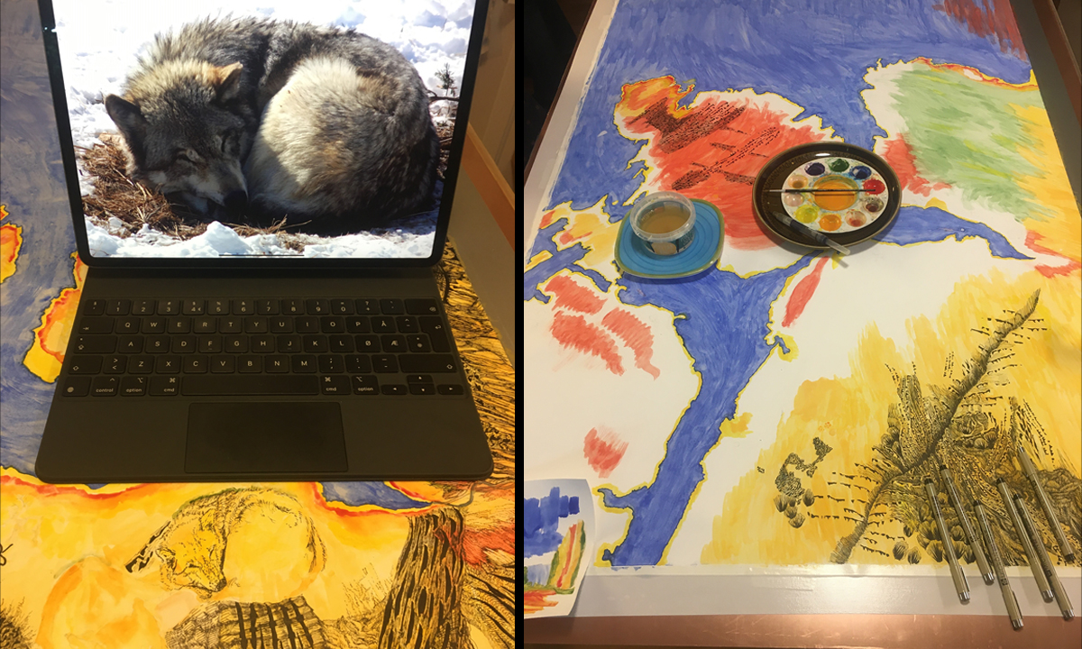 PC med bilde av en ulv, tegning av en ulv, samt utsnitt av tegnet kart.