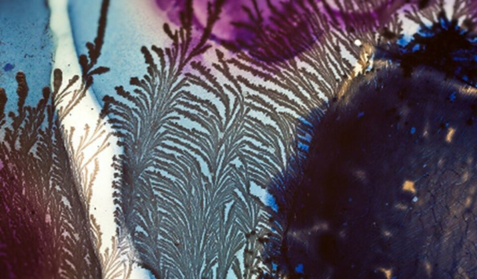 Mærfoto. Mønster i sort, blå og rosa. Strukturen kan minne om tang eller botaniske vekster.