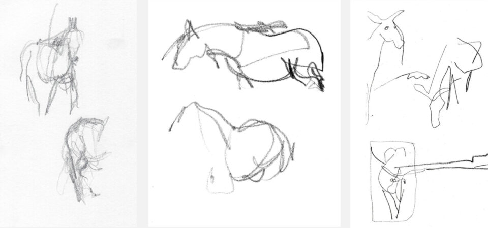 Fire skisser av hest og tre skisser av et esel.